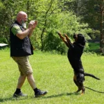 Kimba Von Der Meister Weg