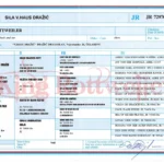 Sila V.Haus Drazic