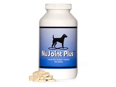 NuJoint Plus Wafers